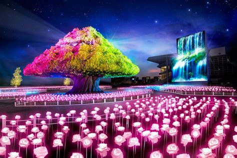 Tokyo Mega Illumination .